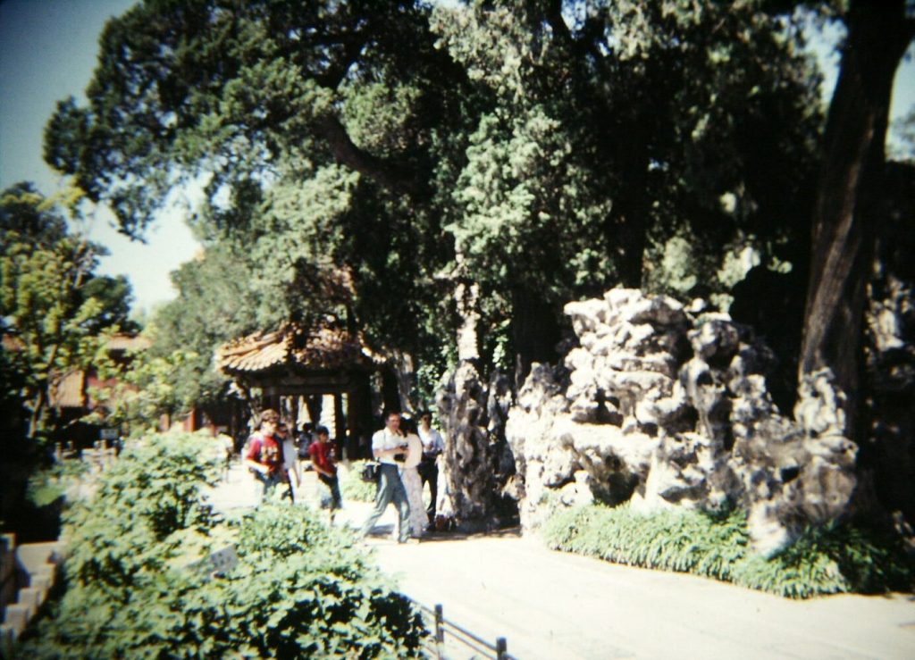 Visitors walking through trees and rockwork in the Imperial Garden