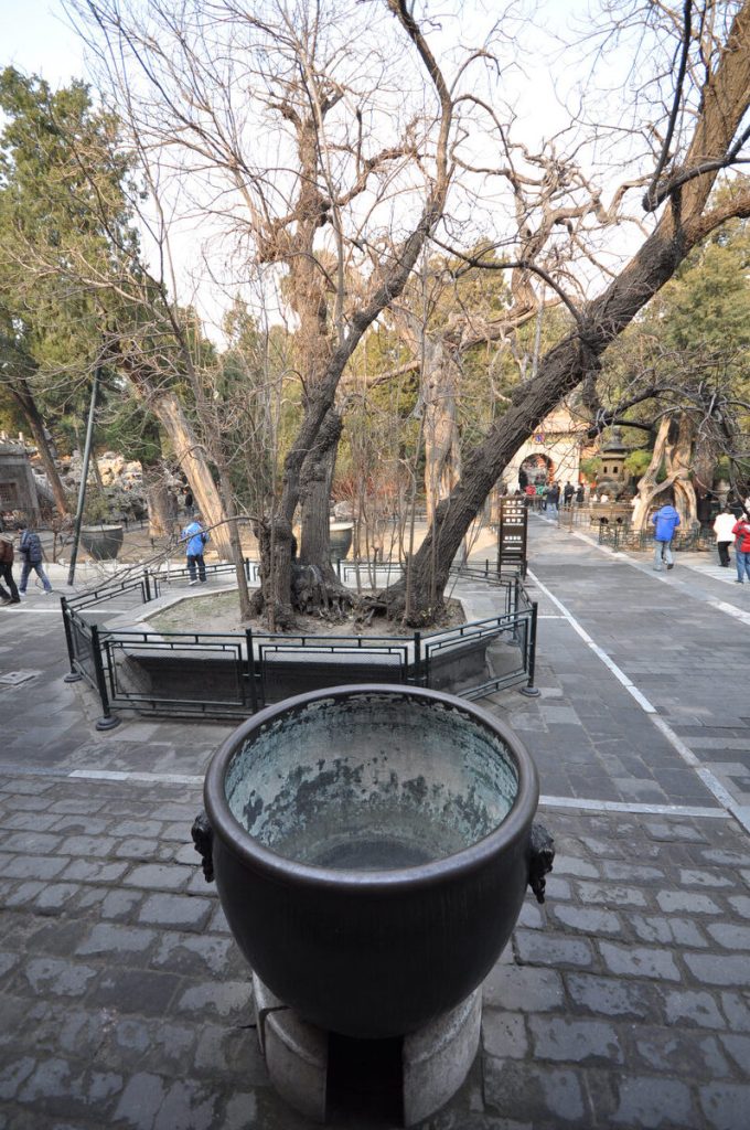 Stone path, trees, and bronze vessel in the Imperial Garden