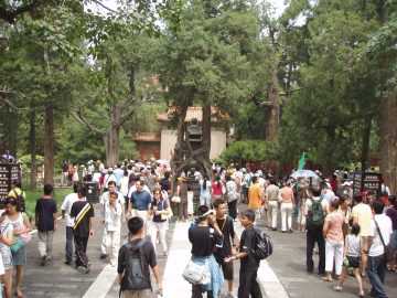 Forbidden City with Kids: Route, Toilets, Rest Stops, and Crowd Tips